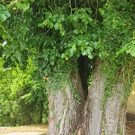 Holiday home Hisa Heidi