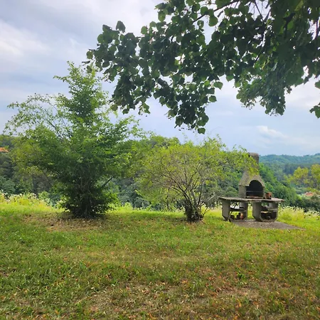 Holiday home Hisa Heidi Zavrc