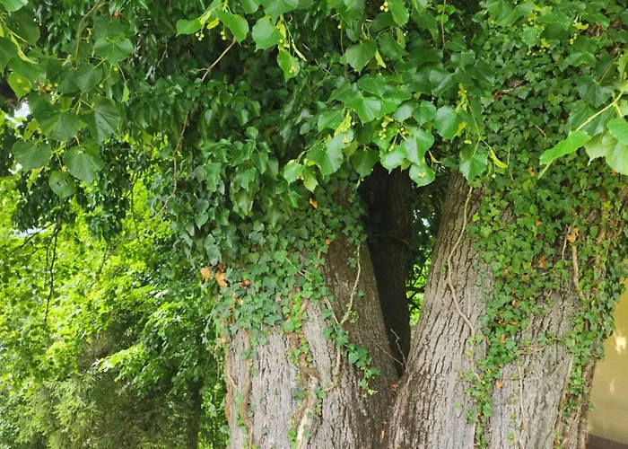 Σπίτι διακοπών Hisa Heidi